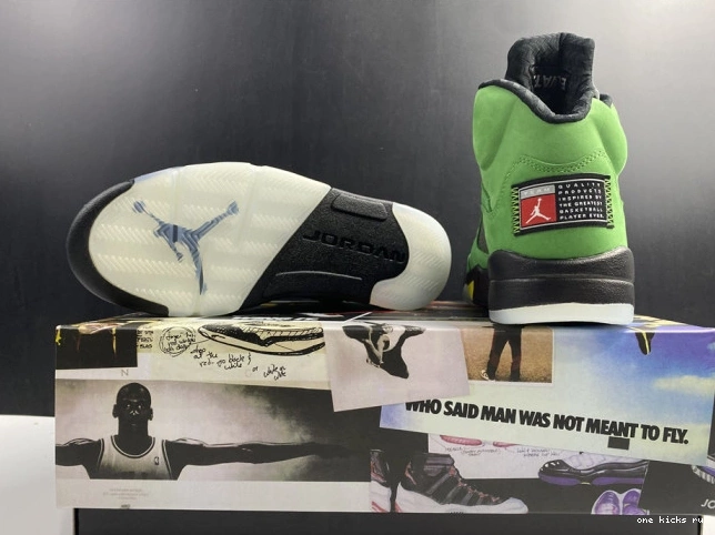 Chep Onekick SE Jordan Air Ducks Oregon 5 CK6631-307 0531